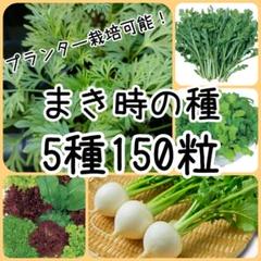 【野菜の種】5種 150粒 種子