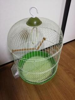 鳥かご