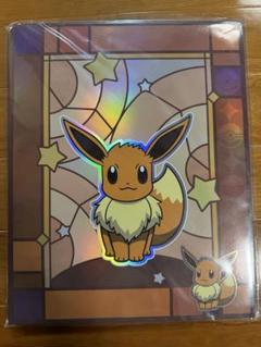 ポケモンカードゲーム 海外限定 9ポケット PROバインダー