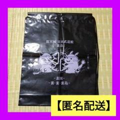 ✨龍宮城✨日本武道館 裏島✨グッズノベルティ✨ビニールバッグ