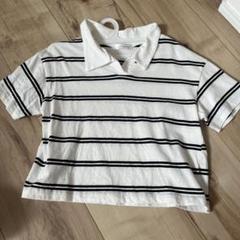 綿100% 襟付きTシャツ