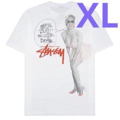 ❗️期間限定SALE❗️ステューシー スケートTシャツ ホワイトL ❗️期間限定SALE❗️ステューシー スケートTシャツ ホワイトL