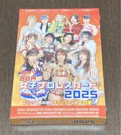 BBM 2024 女子プロレスカード 新品未開封4ボックス シュリンク付き BBM 2024 女子プロレスカード ボックス 新品未開封 シュリンク