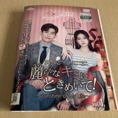 中国ドラマ　麗らかなキミにときめいて　レンタル落ち全巻セット❣️
