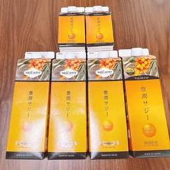 6本セット フィネス 豊潤サジー 1000ml × 4本 300ml ×2本