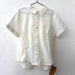 【新品タグ付き】 インセクトコレクション　昆虫ボタン勢揃い リネンシャツ 125