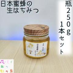 日本蜜蜂 生はちみつ 瓶 250g 百花蜜 ニホンミツバチ 少量お試し