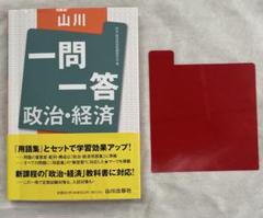 山川一問一答 政治・経済