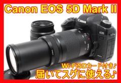 ⭐届いてスグに使える⭐スマホ転送OK⭐Canon EOS 5D Mark II⭐