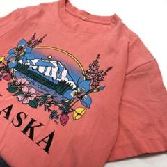 USA製 90's ヴィンテージTシャツ アラスカ シングルステッチ XL相当