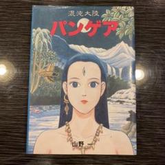 2025年最新】パンゲア 山野の人気アイテム - メルカリ