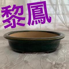 黎鳳　楕円　織部　盆栽鉢 黎鳳 楕円 織部 盆栽鉢 - メルカリ