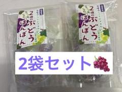 2種のぶどうぼんぼん　10袋 2種のぶどうぼんぼん ＜巨峰＆シャインマスカット＞（花筏）2023
