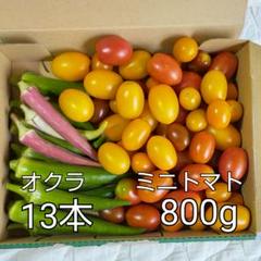 ミニトマト オクラ 7/9 - メルカリ
