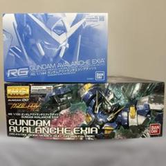 GUNDAM AVALANCHE EXIA RG/MG2体セット GUNDAM AVALANCHE EXIA RG/MG2体セット - メルカリ