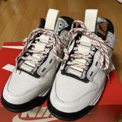 【NIKE】ロージャンボ　エアダンク　ファントム　(26cm)