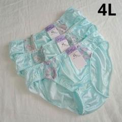 【4L3枚】レディースショーツ まとめ売り 3XL パンツ 下着(H351)のサムネイル