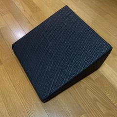 【美品】サンテプラス/フレックスクッション サンテプラス フレックスクッション（本体のみ） : 東急スポーツ