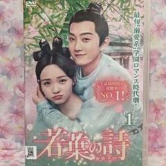 2025年最新】中国ドラマ 若葉の詩の人気アイテム - メルカリ