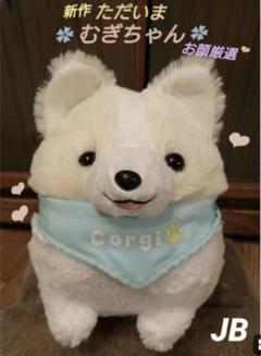 いち！にの！コーギー ただいま  むぎちゃん JB ≪2月の新商品≫いちにのコーギーただいま☆アミューズプライズ