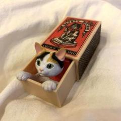 ふみねこ fumineko (@fumineko67) / X
