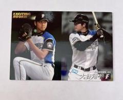 大谷翔平 Exciting Rookie カード 2013年 D-07