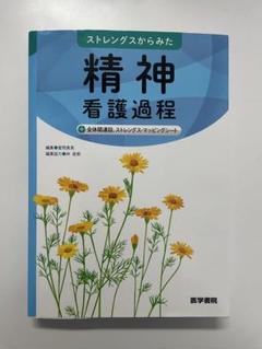 ストレングスからみた精神看護過程