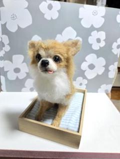 さおり様 羊毛フェルト チワワ ハンドメイド 犬