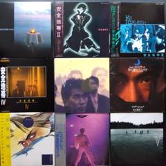 安全地帯(玉置浩二)　LPレコード(月に濡れたふたり含む)11枚
