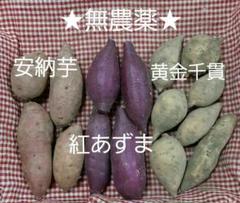 ★無農薬★ぜいたく4種のさつまいもセット