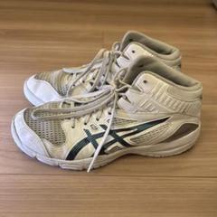 アシックス　バスケットシューズ