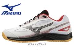 とてもきれい！ バドミントンシューズ　SKYBLASTER 3 27cm