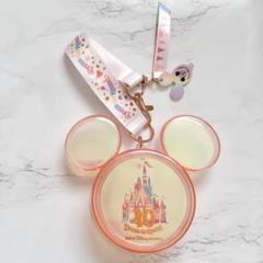 ディズニー 40周年 ミニスナックケース オーロラカラー ミッキー