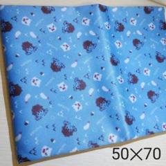 鬼滅の刃 伊之助 生地 50cm✕70cm
