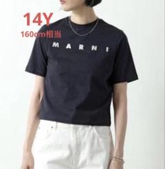 マルニ MARNI キッズ Tシャツ 半袖 14Y 160cm 新品・未使用