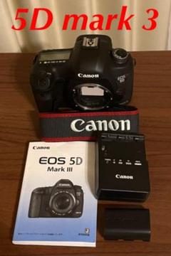 人気激安 【美品】Canon キヤノン EOS 80D レンズ一本 スピードライト一本 - デジタルカメラ
