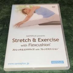 サンテプラス　フレックスクッション　Flexcushion　ベージュ　2セット サンテプラス フレックスクッション Flexcushion ベージュ 2