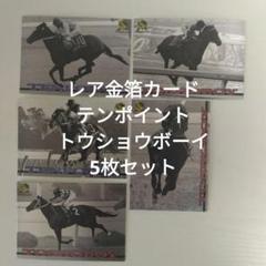 競馬パネル：大型 68cm×98cm「詳細不明」　※テンポイント？ 競馬パネル：大型 68cm×98cm「詳細不明」 ※テンポイント