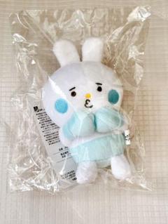 くずぴょん　ぬいぐるみマスコット　ブルー 2025年最新】くずぴょん 青の人気アイテム - メルカリ