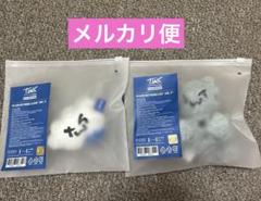 TWS TRY WITH US PLUSH KEYRING CAT+CLOUD - メルカリ