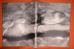 Mermaids：Michael Dweck】マイケル・ドウェック サイン入