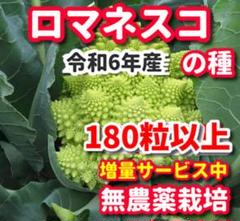 土屋様 リクエスト 2点 まとめ商品 なんでも屋様 リクエスト 2点 まとめ商品 - メルカリ