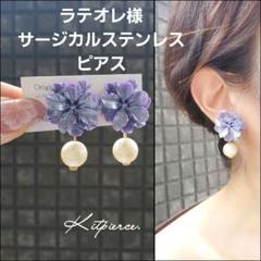 ラテオレ様 サージカルステンレスピアス