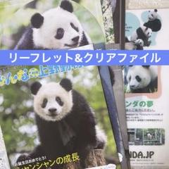 シャンシャン印刷物『みんなの上野動物園』vol.65 72 75 クリアファイル