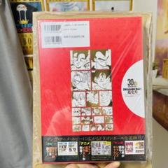 2025年最新】30Th anniversaryドラゴンボール超史集の人気