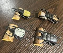 カブトムシ & クワガタ　フィギュア　4点セット　一匹ずつ登木付き　【美品】