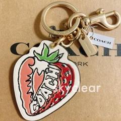 新品❇︎正規品 COACH ストロベリー いちご チャーム キーリング COACH コーチ キーホルダー レジン ストロベリー イチゴ