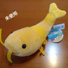 クレーンゲームでゲット　うみものシリーズもちぷに水族館しゅーごーぬいぐるみ7 m76029744335_1.jpg?1686266803