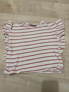 ZARA 赤いストライプ フリル袖 Tシャツ 110cm