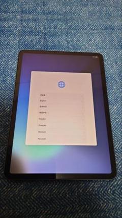 2025年最新】Apple アップル iPad Pro 11インチ Wi-Fi 64GB